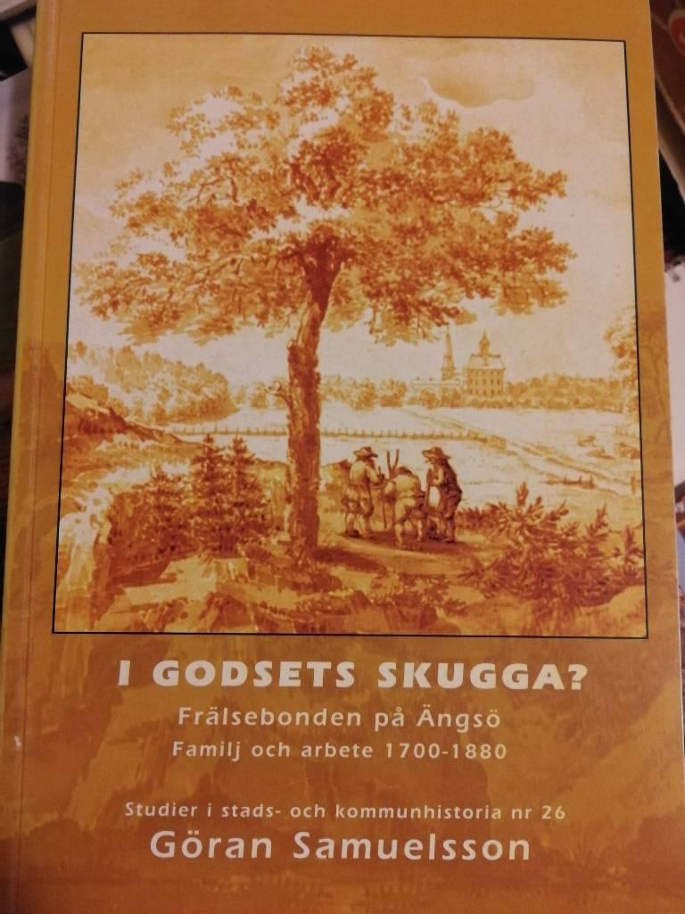 I godsets skugga? : fr&auml;lsebonden p&aring; &Auml;ngs&ouml; : familj och arbete 1700-1880