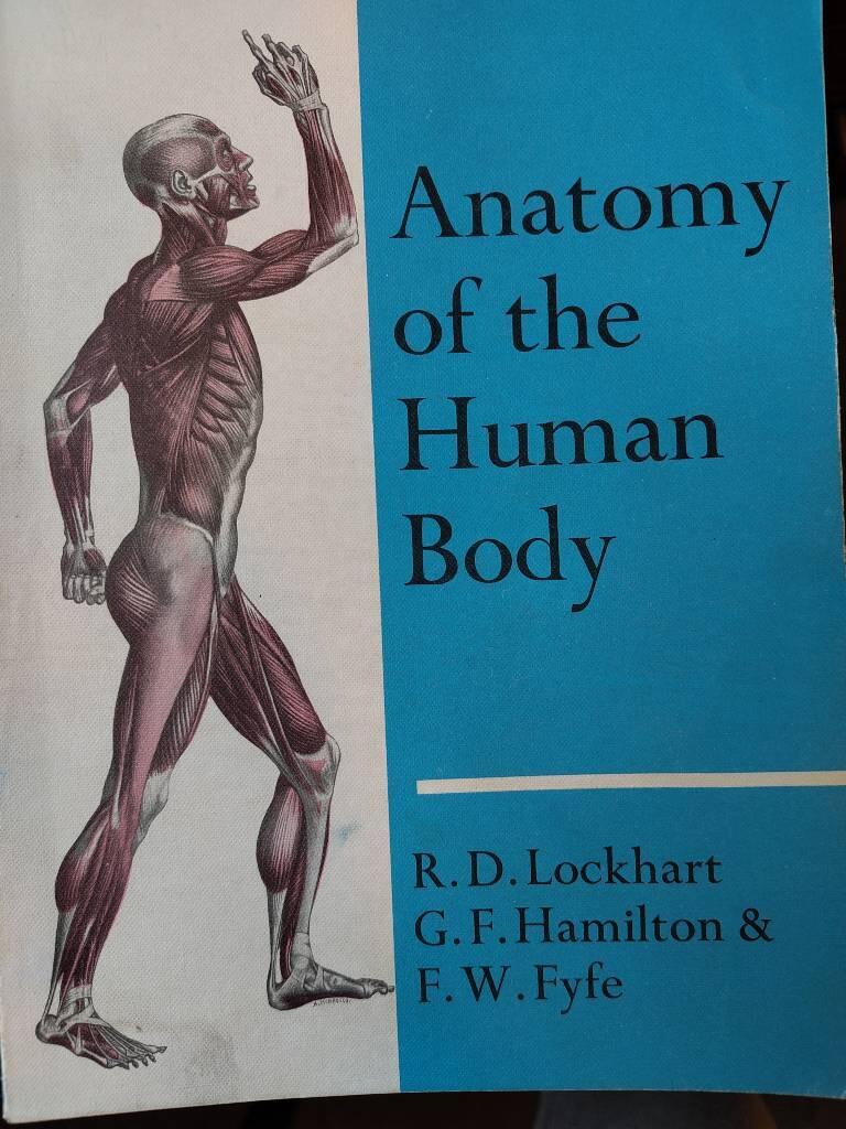 Anatomy of the human body
