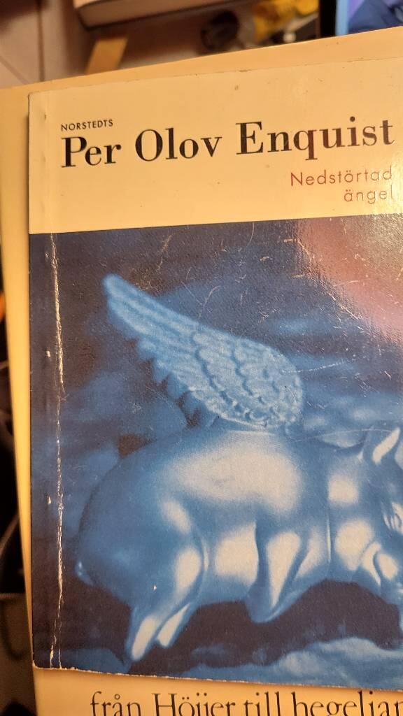 Nedst&ouml;rtad &auml;ngel