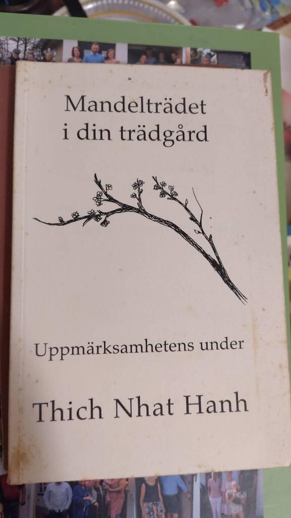Mandelträdet i din trädgård : uppmärksamhetens under
