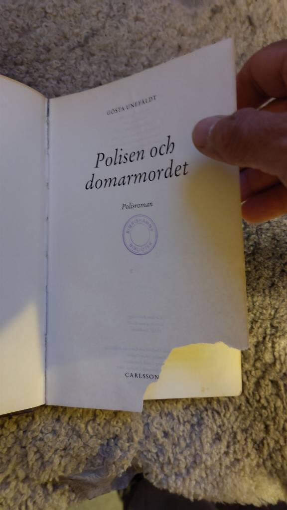Polisen och domarmordet - polisroman