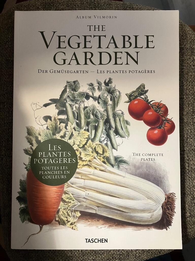 The vegetable garden