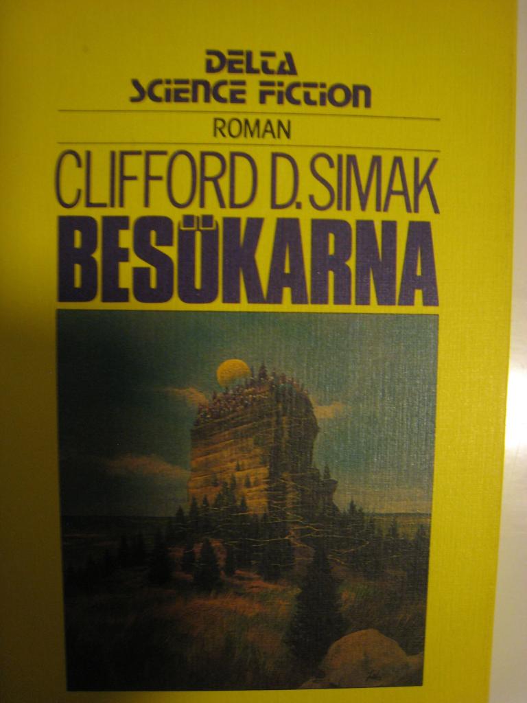 Bes&ouml;karna : [roman]