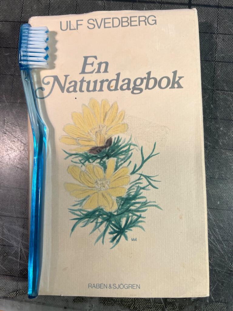 En naturdagbok