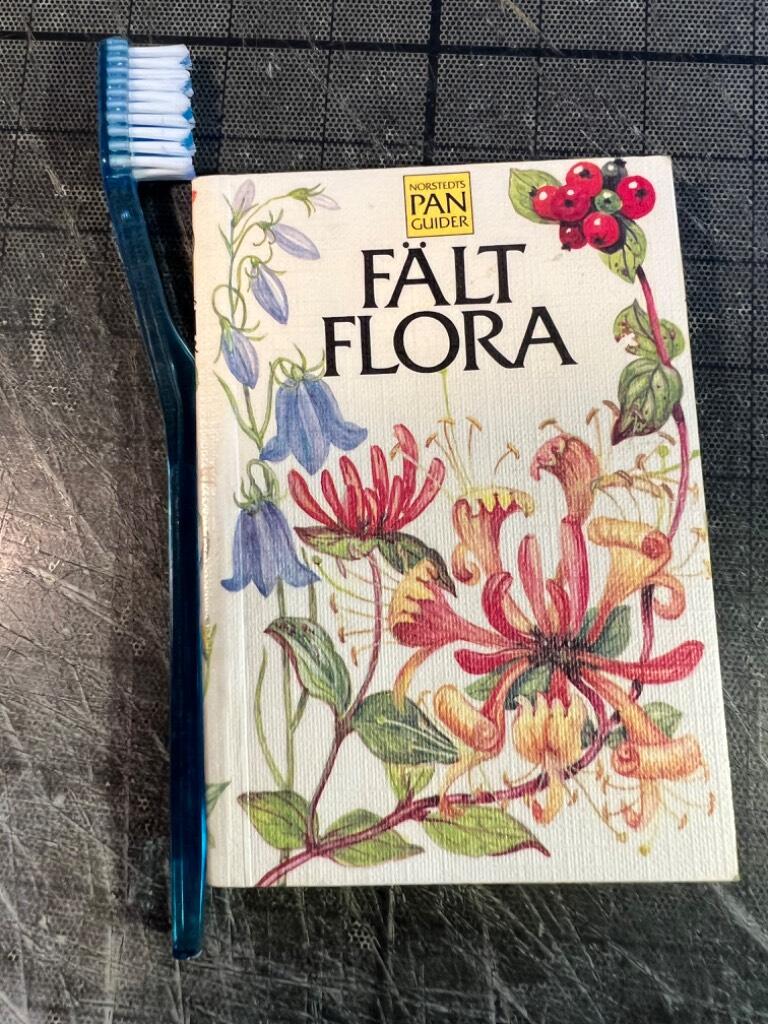 Fältflora