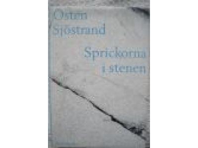 Sprickorna i stenen : dikter, tolkningar, essäer