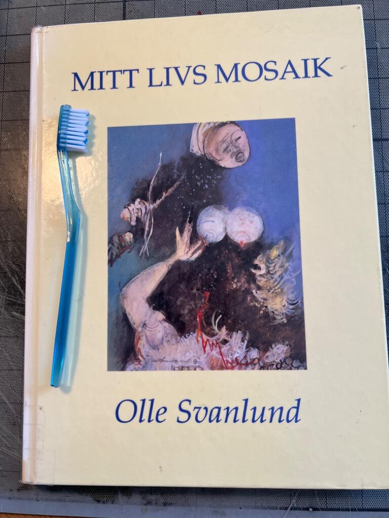 Mitt livs mosaik : en konstnärs memoarer (1909-1989)