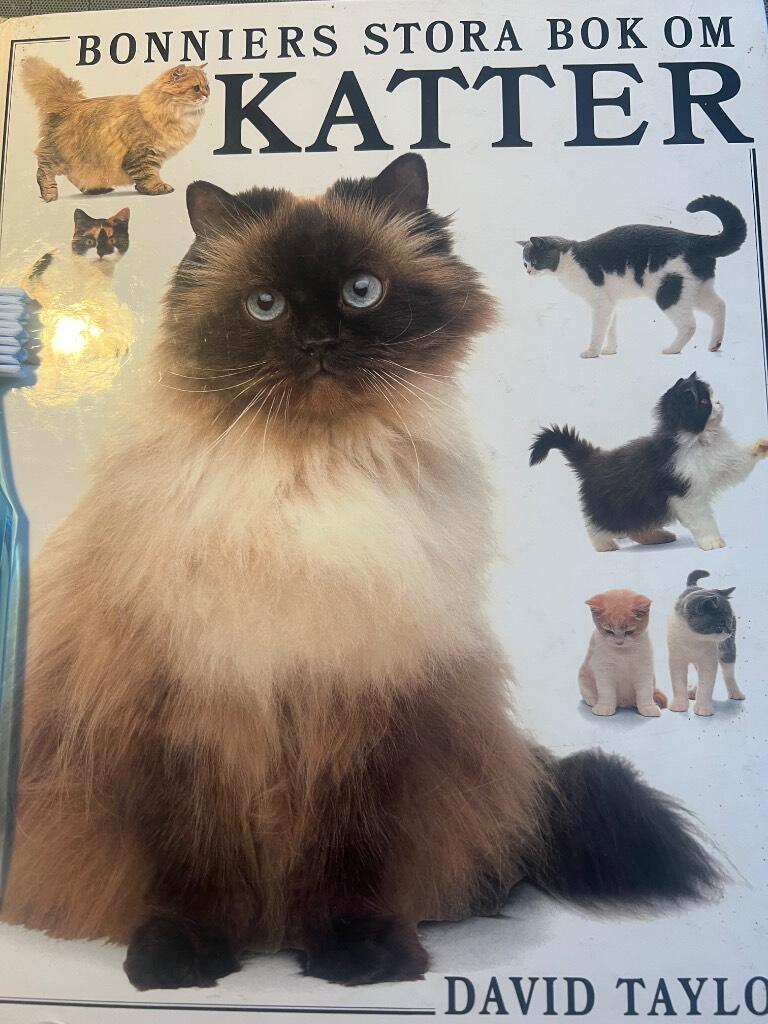 Bonniers stora bok om katter