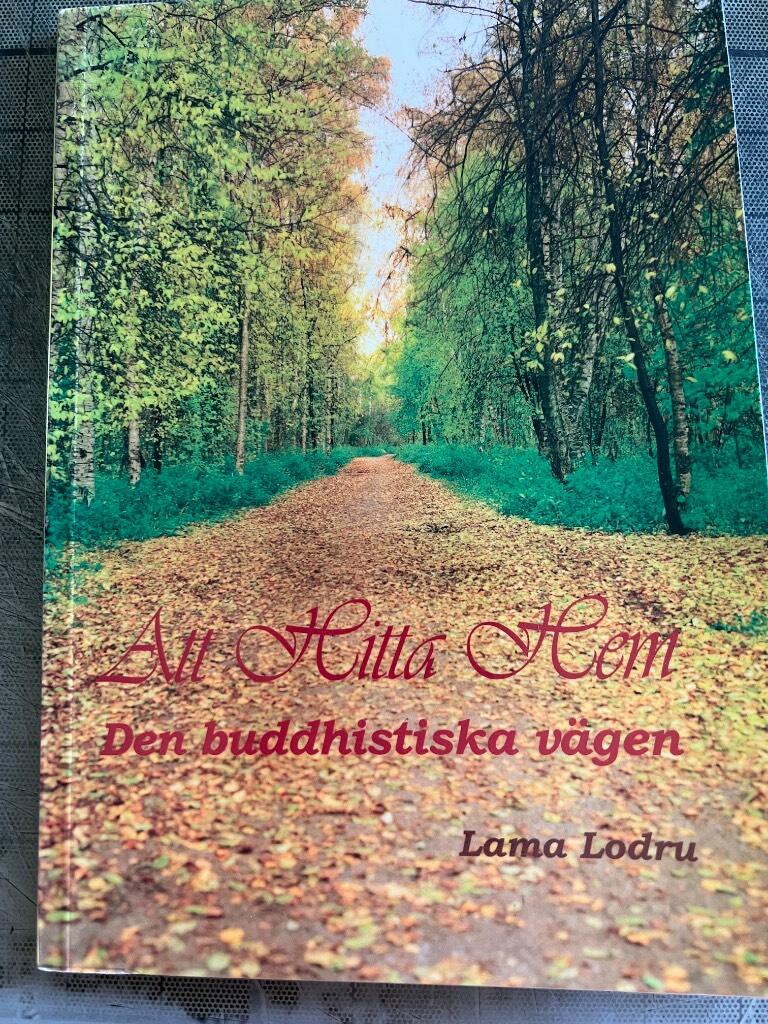 Att hitta hem : den buddhistiska vägen
