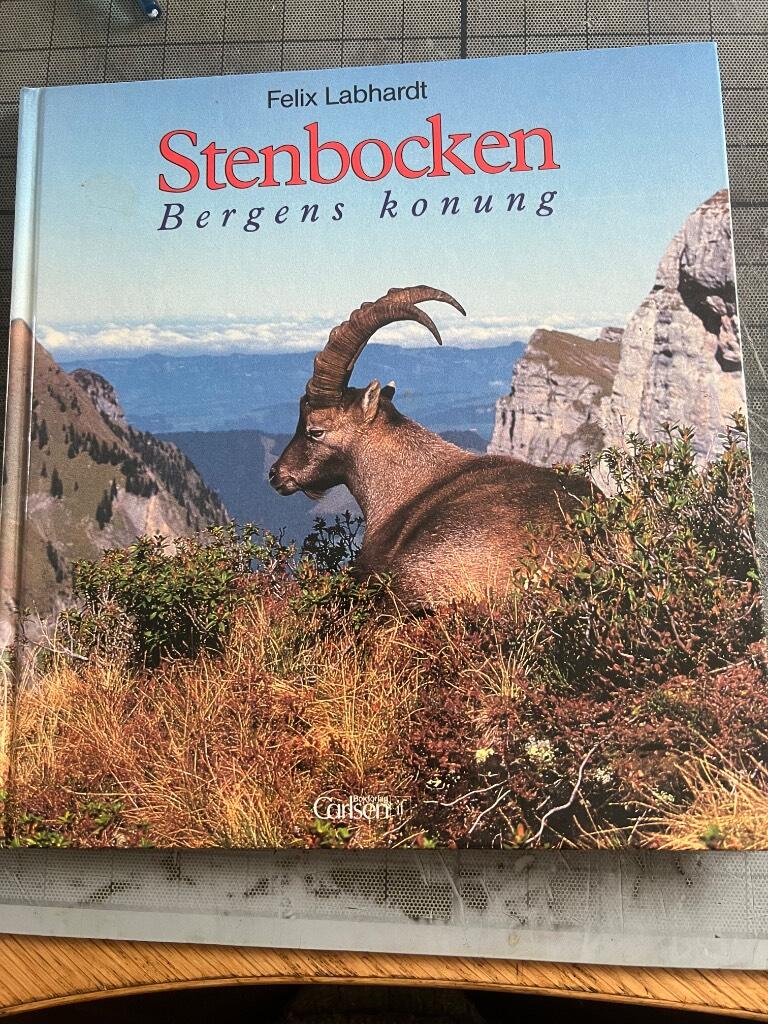 Stenbocken : bergens konung