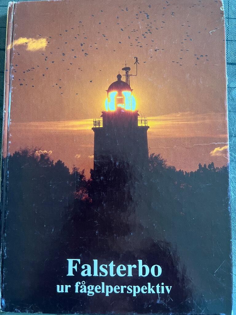 Falsterbo ur fågelperspektiv