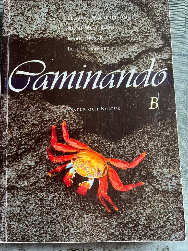 Caminando