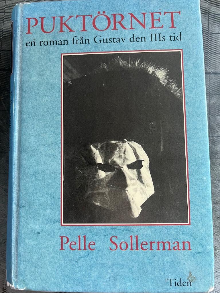 Pukt&ouml;rnet - en roman fr&aring;n Gustav den III:s tid