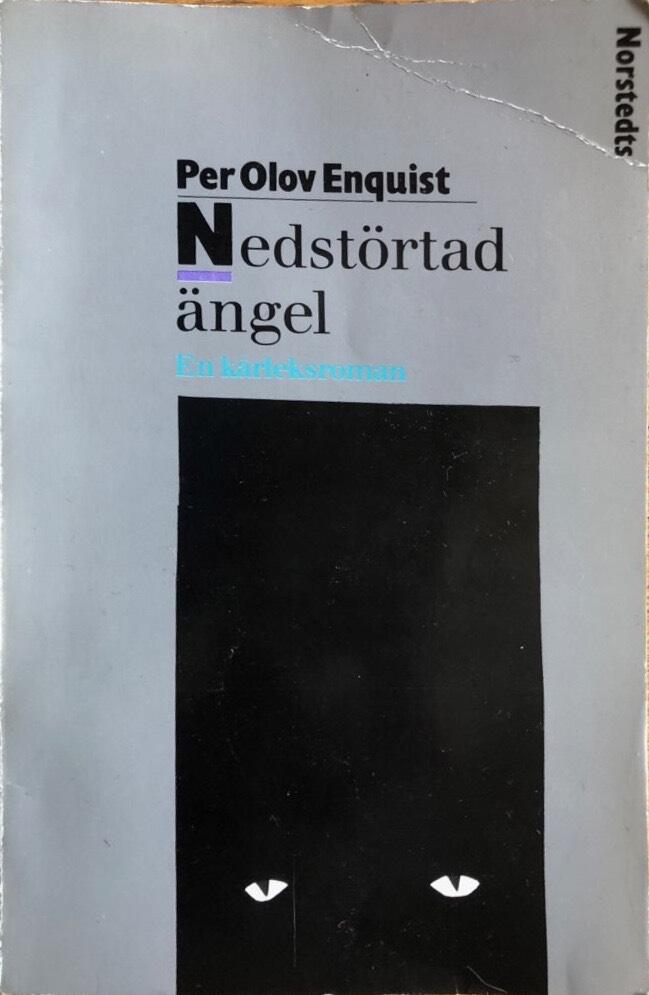 Nedst&ouml;rtad &auml;ngel - en k&auml;rleksroman