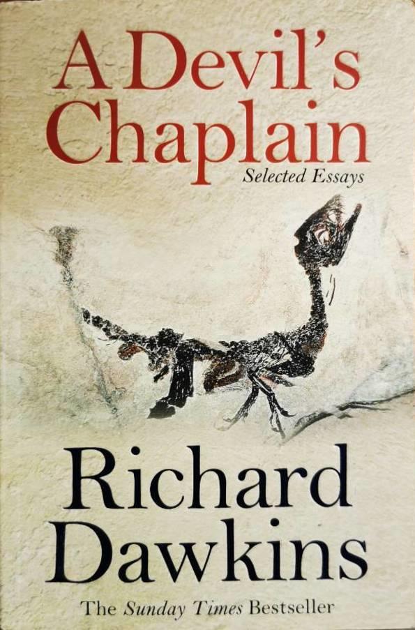 A devil's chaplain : selected essays