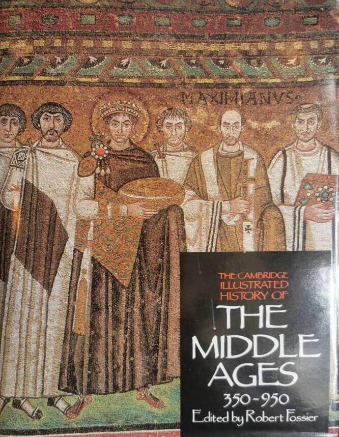 The Cambridge illustrated history of the middle ages