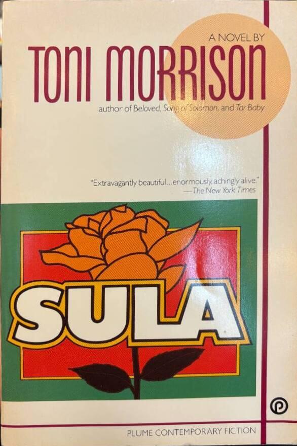 Sula
