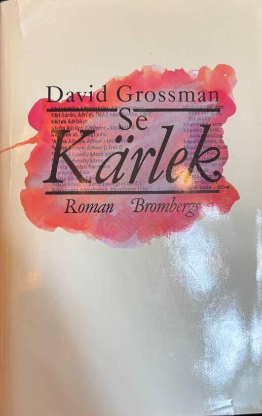 Se k&auml;rlek - [roman]