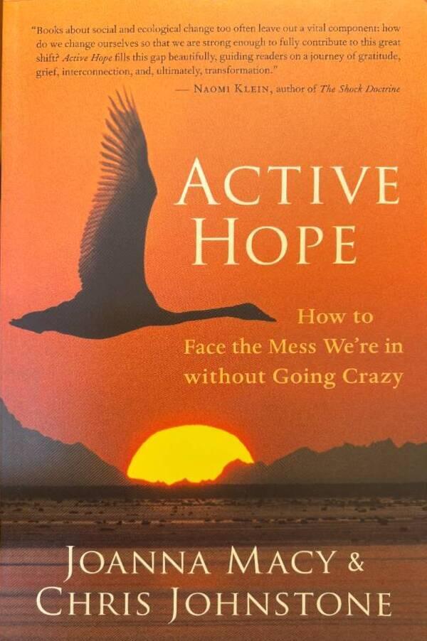 Active hope : how to face the mess we're in without going crazy