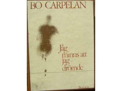 Jag minns att jag dr&ouml;mde