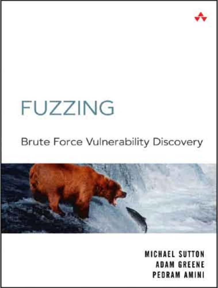 Fuzzing - brute force vulnerabilty discovery