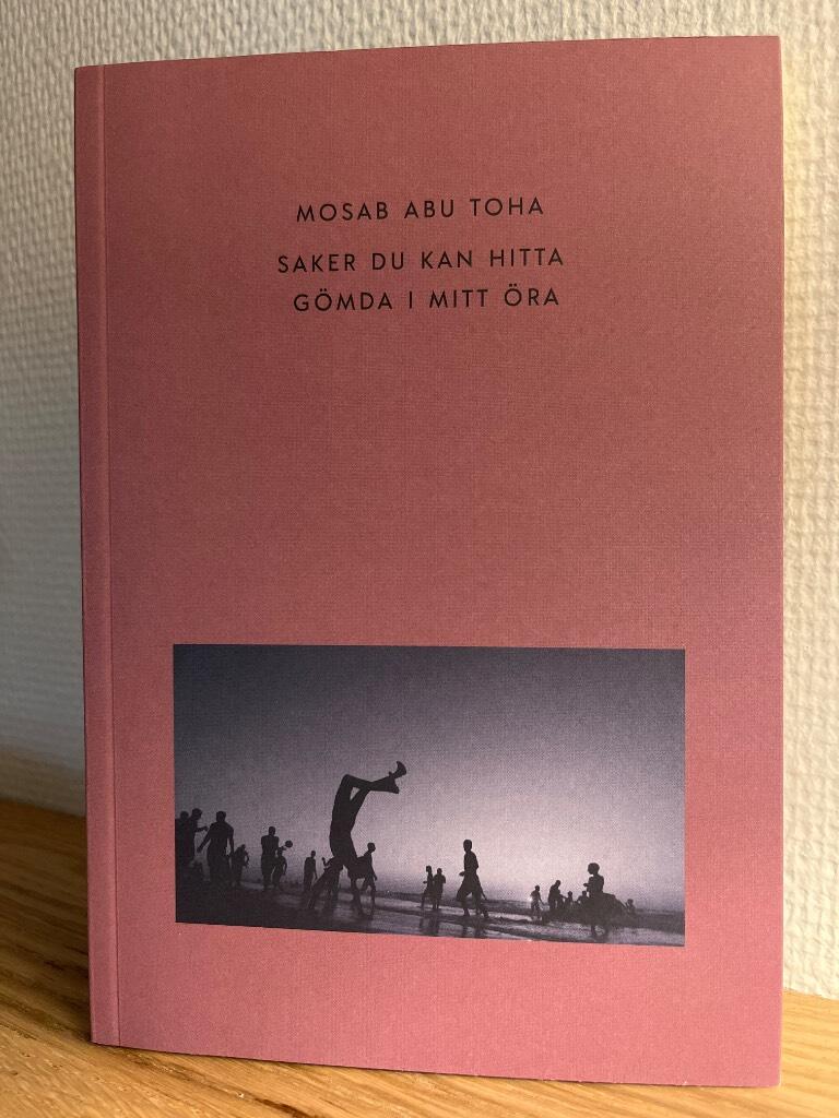 Saker du kan hitta g&ouml;mda i mitt &ouml;ra