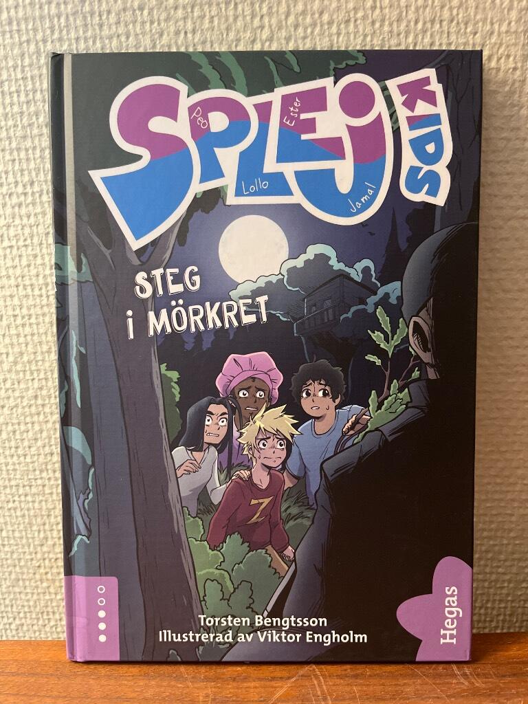 Steg i mörkret
