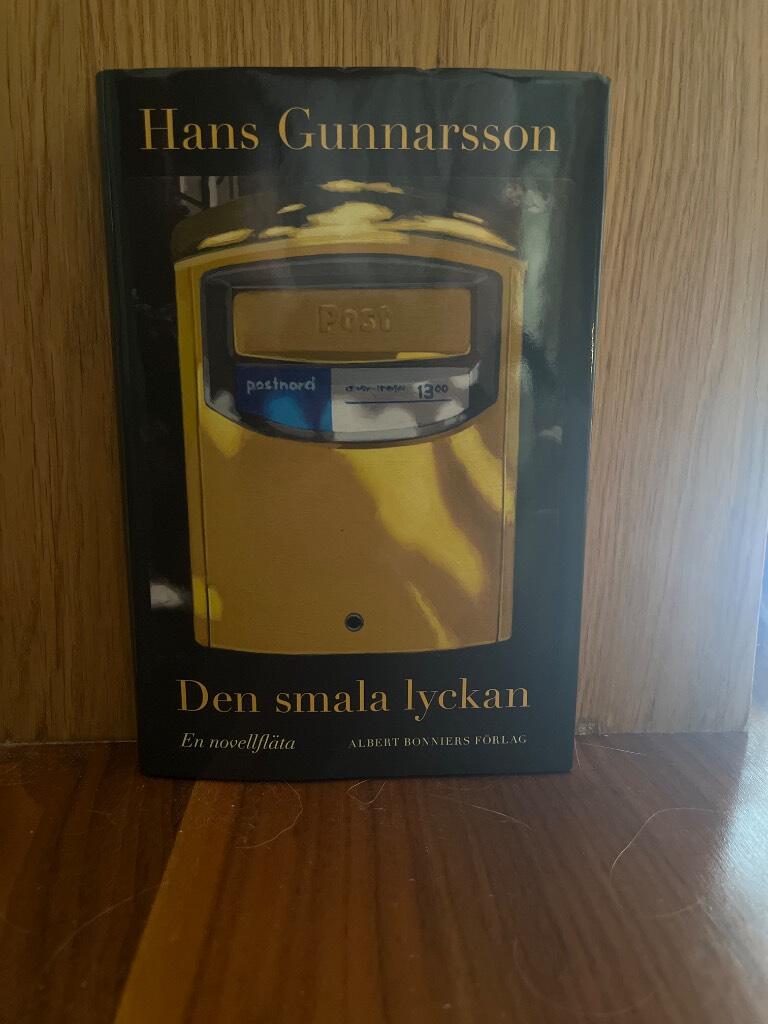 Den smala lyckan - en novellfläta