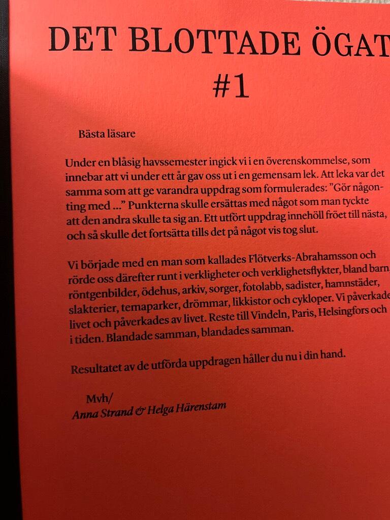 Det blottade ögat # 1