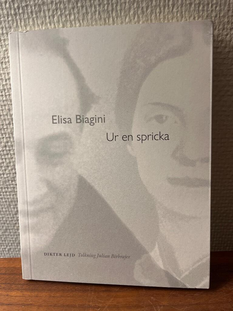 Ur en spricka - dikt