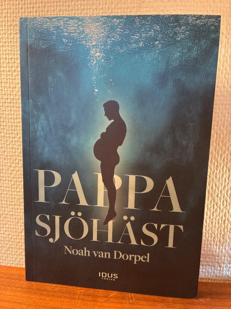 Pappa sj&ouml;h&auml;st