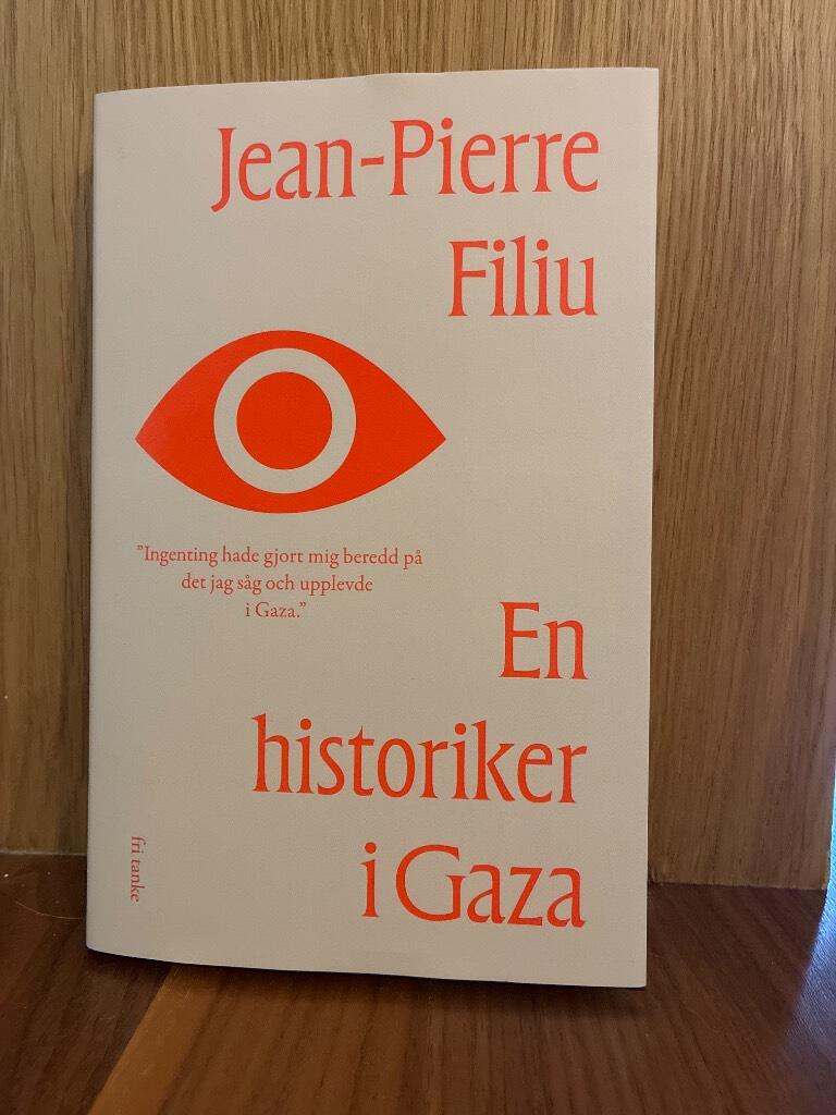 En historiker i Gaza