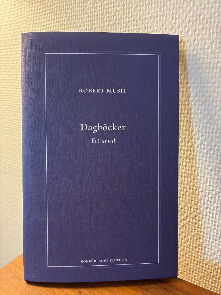 Dagb&ouml;cker