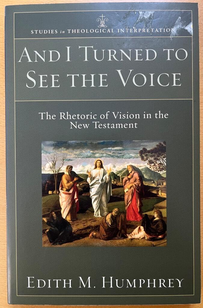 And I turned to see the voice - the rhetoric of vision in the New Testament