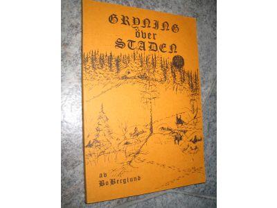 Gryning över staden : roman