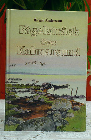 F&aring;gelstr&auml;ck &ouml;ver Kalmarsund