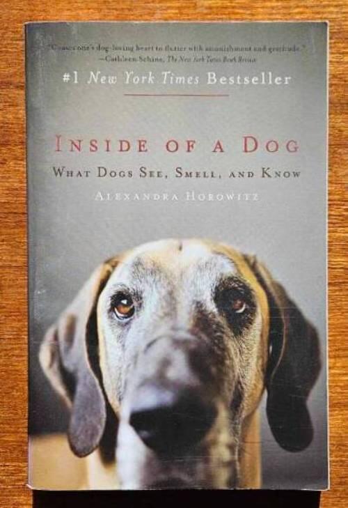 Inside of a dog - what dogs see, smell, and know