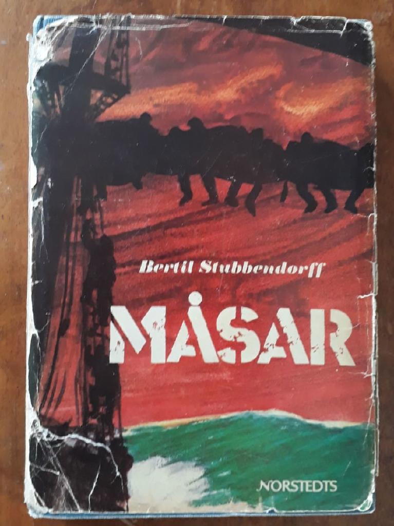 Måsar