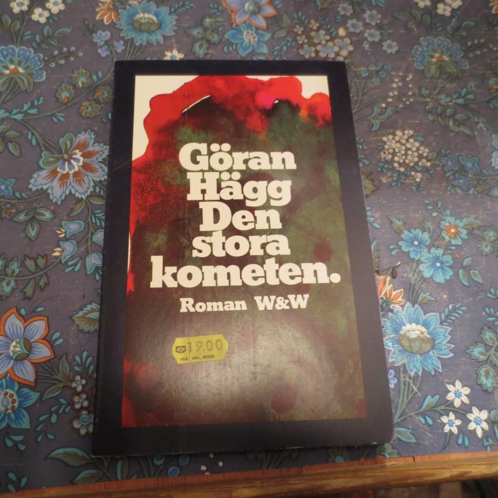 Den stora kometen : [roman]