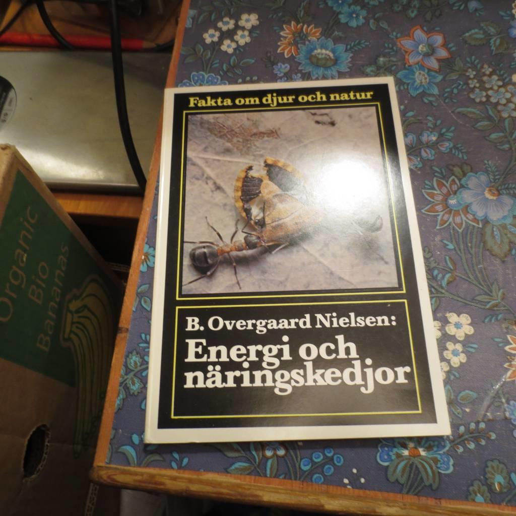 Energi och n&auml;ringskedjor