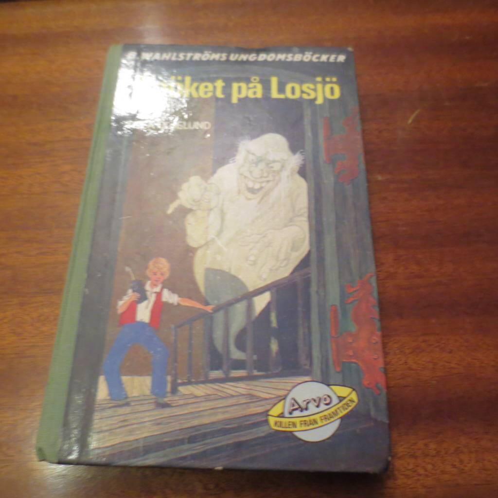 Sp&ouml;ket p&aring; Losj&ouml; : Arvo, killen fr&aring;n framtiden