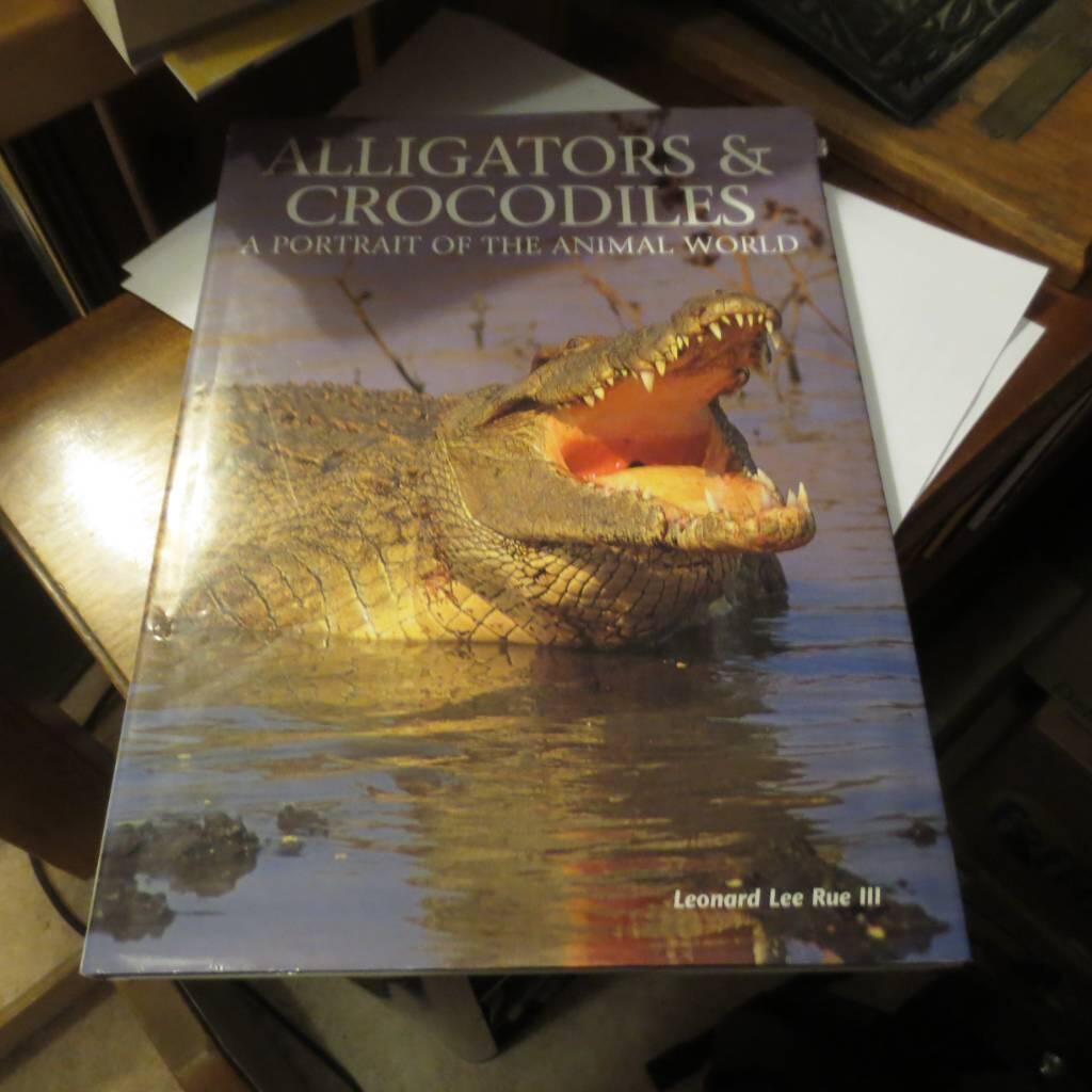 Alligators and crocodiles - a portrait of the animal world