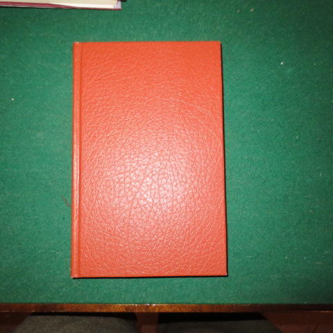 Enkelst&ouml;ten : psykologisk thriller