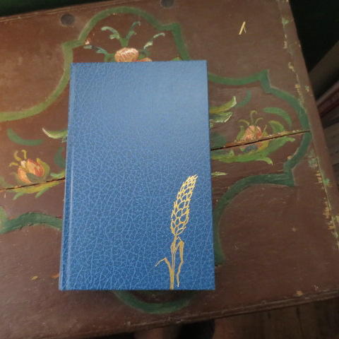 Nya testamentet : Bibelkommissionens utg&aring;va 1981