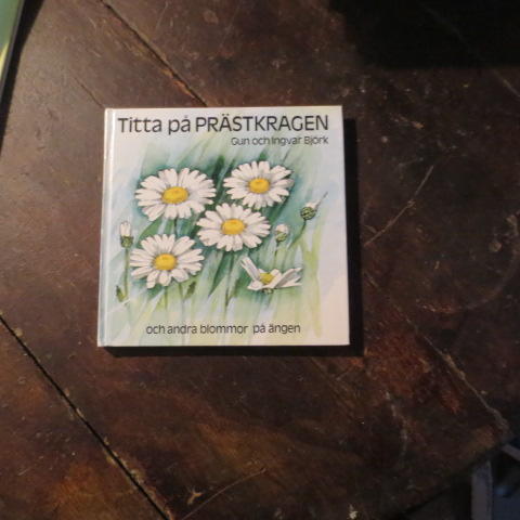 Titta p&aring; pr&auml;stkragen och andra blommor p&aring; &auml;ngen