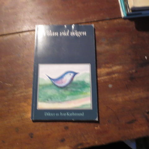 Vilan vid v&auml;gen : dikter