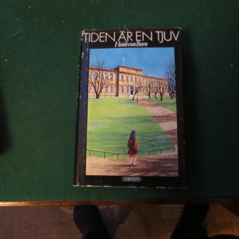 Tiden &auml;r en tjuv