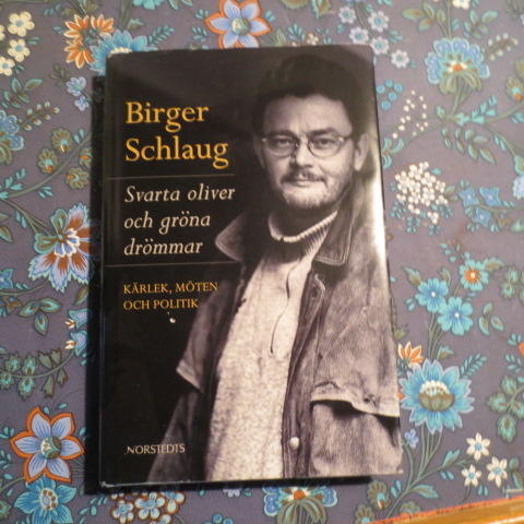 Svarta oliver och gr&ouml;na dr&ouml;mmar : k&auml;rlek, m&ouml;ten och politik
