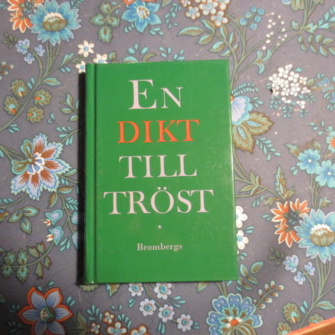 En dikt till tr&ouml;st