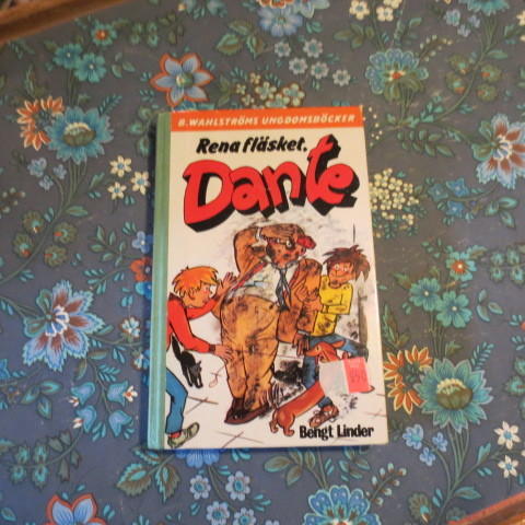 Rena fl&auml;sket, Dante